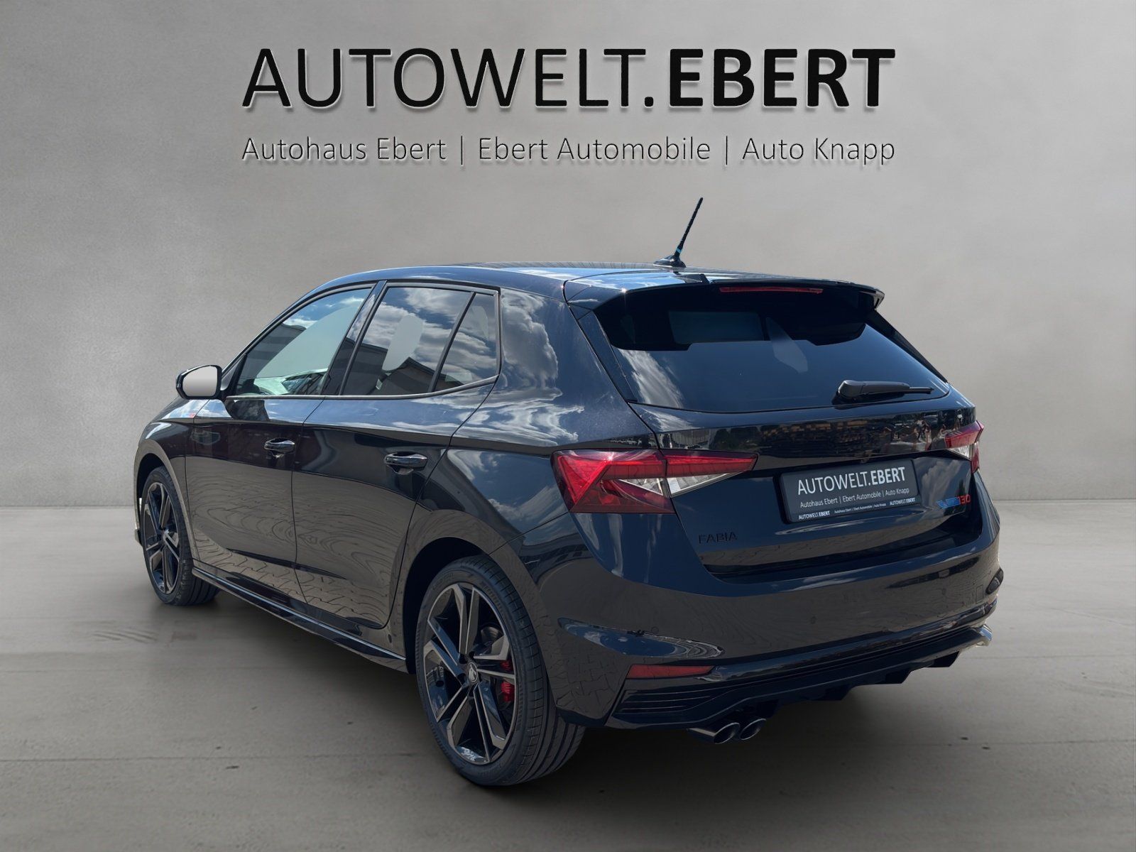 Fahrzeugabbildung SKODA Fabia 130 1,5 TSI 130 kW DSG MATRIX/ACC/RFK/RS