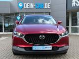 Mazda CX-30 Selection 2WD*MATRIXLED*NAVI*360°* - Mazda Gebrauchtwagen von 2020