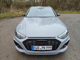 Audi RS4 2.9 TFSI - TÜV & Inspektion NEU, Garantie - Audi RS4 aus 2020