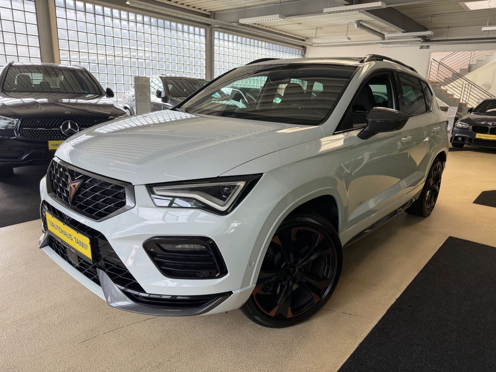Fahrzeugabbildung CUPRA Ateca 4Drive*Pano