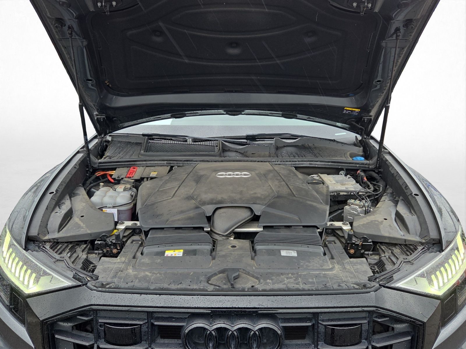 Audi Q8 - Bild 18