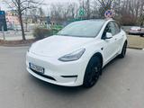Tesla Model Y Performance Dual Motor AWD Performance