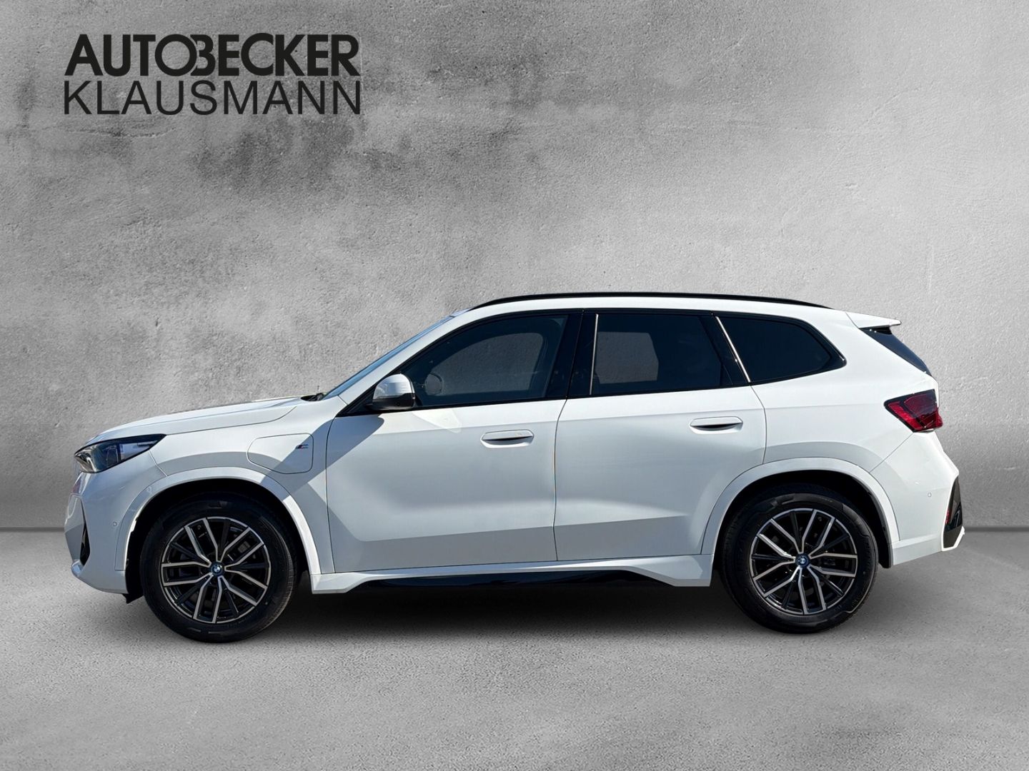 BMW X1 xDrive 30e M SPORT 18''LC PROF HuD ALARM AHK  foto 3