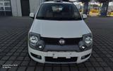 Fiat Panda 1.3 JTD Cross 4X4 - Fiat Panda aus 2010: Allradantrieb