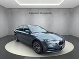 Skoda OCTAVIA°CLEVER°AUT°DSG°VIRTUAL°R.KAM°LED°MASSAGE - Skoda Octavia Clever mit Benzin-Antrieb
