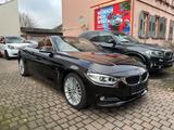 BMW 425 d Cabrio  Luxury Line ACC Head-Up Leder AHK - BMW 4er Reihe mit Diesel-Antrieb: Cabrio