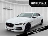 Jaguar XE P250 SE Start/Stopp Navi HUD Matrix Leder Kam - Jaguar XE SE mit Benzin-Antrieb