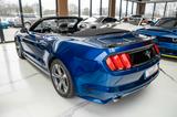 Ford Mustang 3,7 CABRIO LEDER XENON ALU ANDROID - Ford Mustang: Cabrio