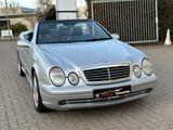Mercedes-Benz CLK 55 AMG CABRIO W208 V8 TÜV NEU - Mercedes-Benz CLK 55 AMG Gebrauchtwagen