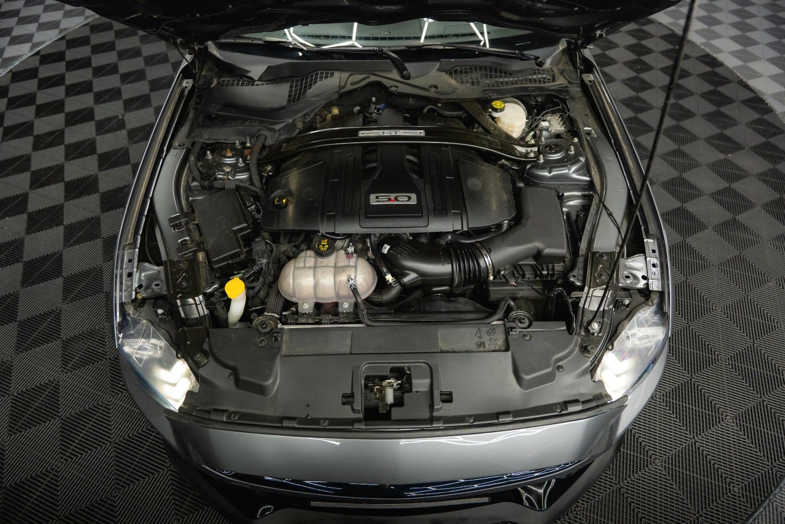 Fahrzeugabbildung Ford Mustang Shelby GT 500 5.0 V8 PREMIUM Performance