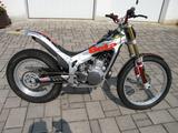 Beta Trial Techno 250  - Angebote