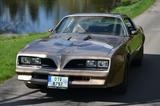 Pontiac Trans Am - Pontiac Trans Am Benziner Gebrauchtwagen