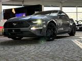 Ford Mustang 2,3 EcoBoost Autom. Neuwertig + Garantie - Ford Mustang: Ecoboost