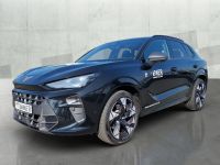 Cupra Terramar - Vorschau Bild 3