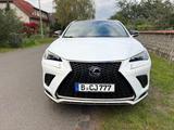 Lexus NX 300 NX300h - F - Sport Hybrid 2018 TÜV 2027 - Lexus: Nx