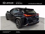 Lexus UX 200 Launch Edition Navi RFK 15 Jahre Relax Ga - Lexus UX aus 2019