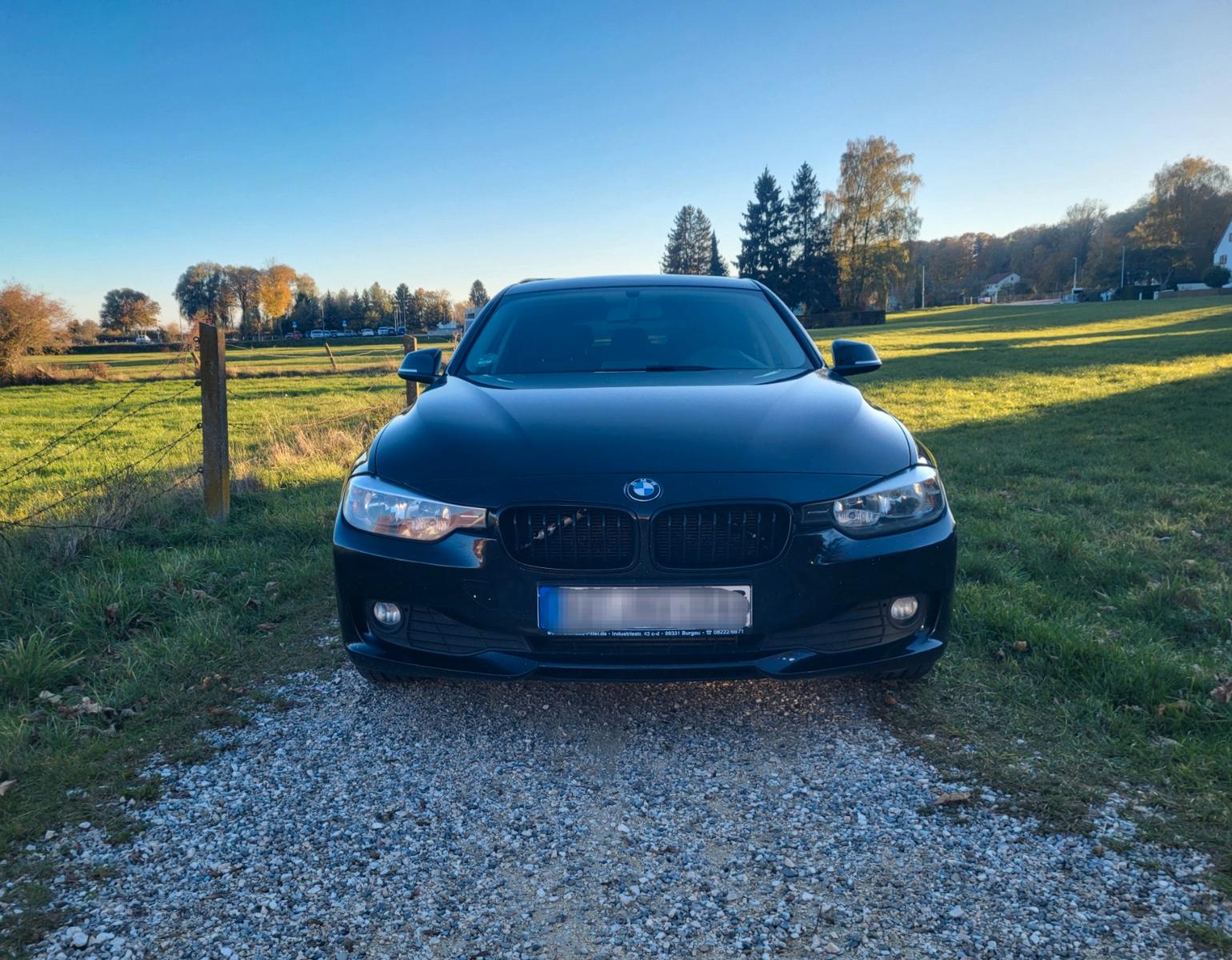 BMW 318 2013 — rear view