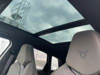 Cupra Terramar - Vorschau Bild 18