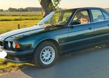 BMW E34 520i in einem super Zustand - BMW 5 Series: E34