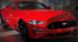 Ford Mustang 5.0 GT (kein Import, kein Unfallwagen) - : Import