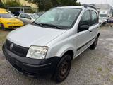 Fiat Panda 1.2 8V Trekking 4X4 - Fiat Panda TREKKING mit Benzin-Antrieb