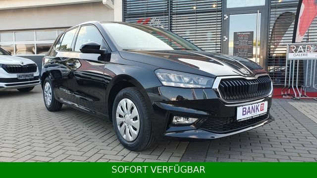 Skoda Fabia 1.0 Selection *TEMPO*SHZ*VirtualCo*PDC