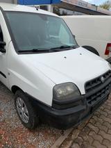 Fiat Doblo Cargo Kastenwagen Transporter - Fiat: Transporter