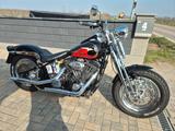 Harley-Davidson FXSTS Springer Softail - HARLEY-DAVIDSON 1996
