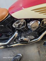 Indian SCOUT - INDIAN SCOUT Motorrad