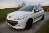 Peugeot 206 plus 1.4 75PS - Peugeot 206: Weiß