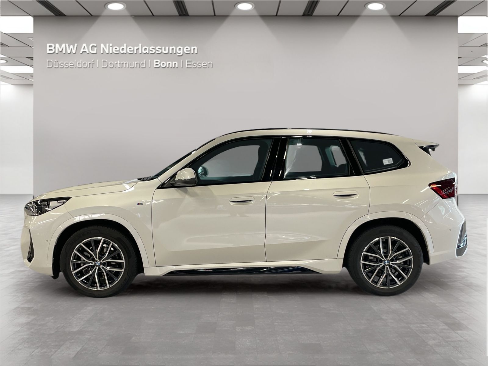 BMW X1 xDrive20d M Sport AHK Driv.Assist Harman K foto 5