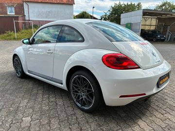 Volkswagen Beetle - 3