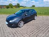 Seat Ibiza 1.4 16V Sport Edition  - Seat Ibiza aus 2010: Sport