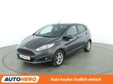 Ford Fiesta 1.0 EcoBoost Trend*NAVI*TEMPO*PDC*SHZ* - Ford Fiesta: Trend