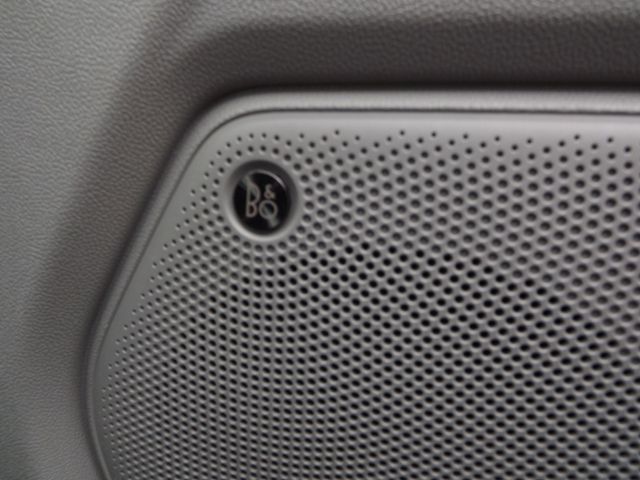Tourneo Custom Plug-in Hybrid *elektr.Türen*B&O*