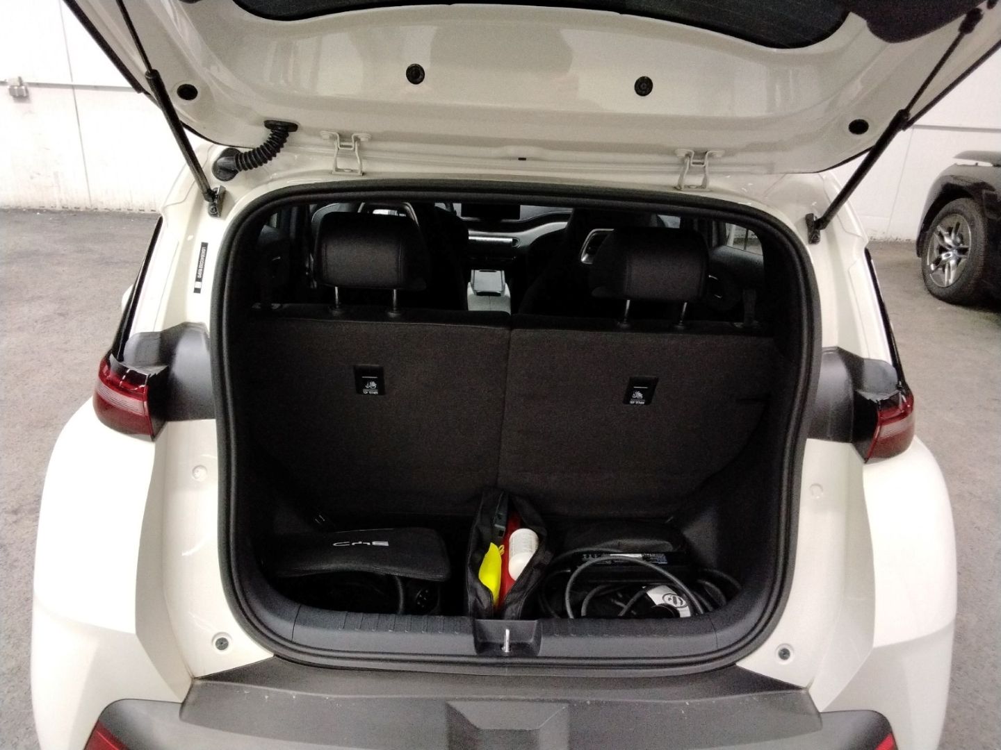 BYD DOLPHIN SURF