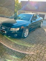 Audi Cabriolet - Audi Cabriolet: Cabrio
