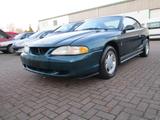 Ford Mustang IV SN95 3,8 V6 Aut. " SVT COB... - Ford Mustang: Svt