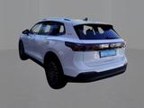Volkswagen Tiguan Goal 1.5 eTSI DSG AHK Navi CarPlay GJR - Volkswagen Tiguan Jahreswagen