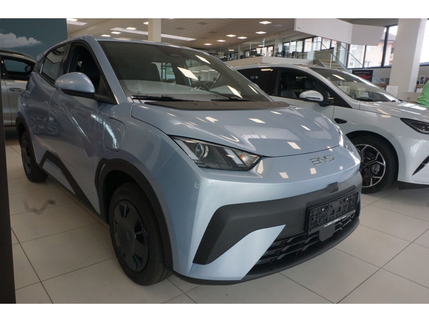 BYD DOLPHIN SURF