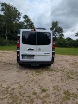 Opel Camper Van - Ausgebaut und Autark  - Opel Kastenwagen