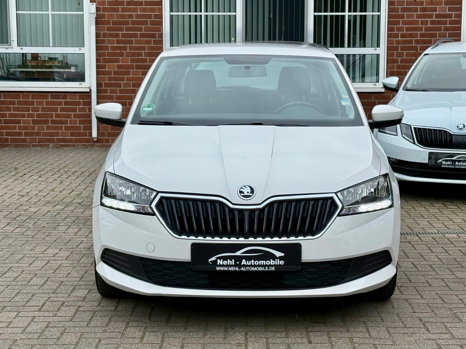 Skoda Fabia Active*Sitzh.*PDC*KLIMA*DAB*TÜV
