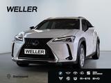 Lexus UX 250h Amazing Edition *Bi-LED*ACC*CAM*CarPlay*