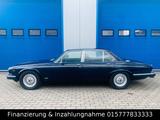 Jaguar XJ12 Automatik Daimler Double Six V12 Leder Voll - Jaguar: Double Six