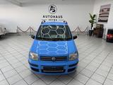 Fiat Panda 1.2 8V Dynamic *TÜV*KLIMA* - Fiat Panda Gebrauchtwagen in Bielefeld