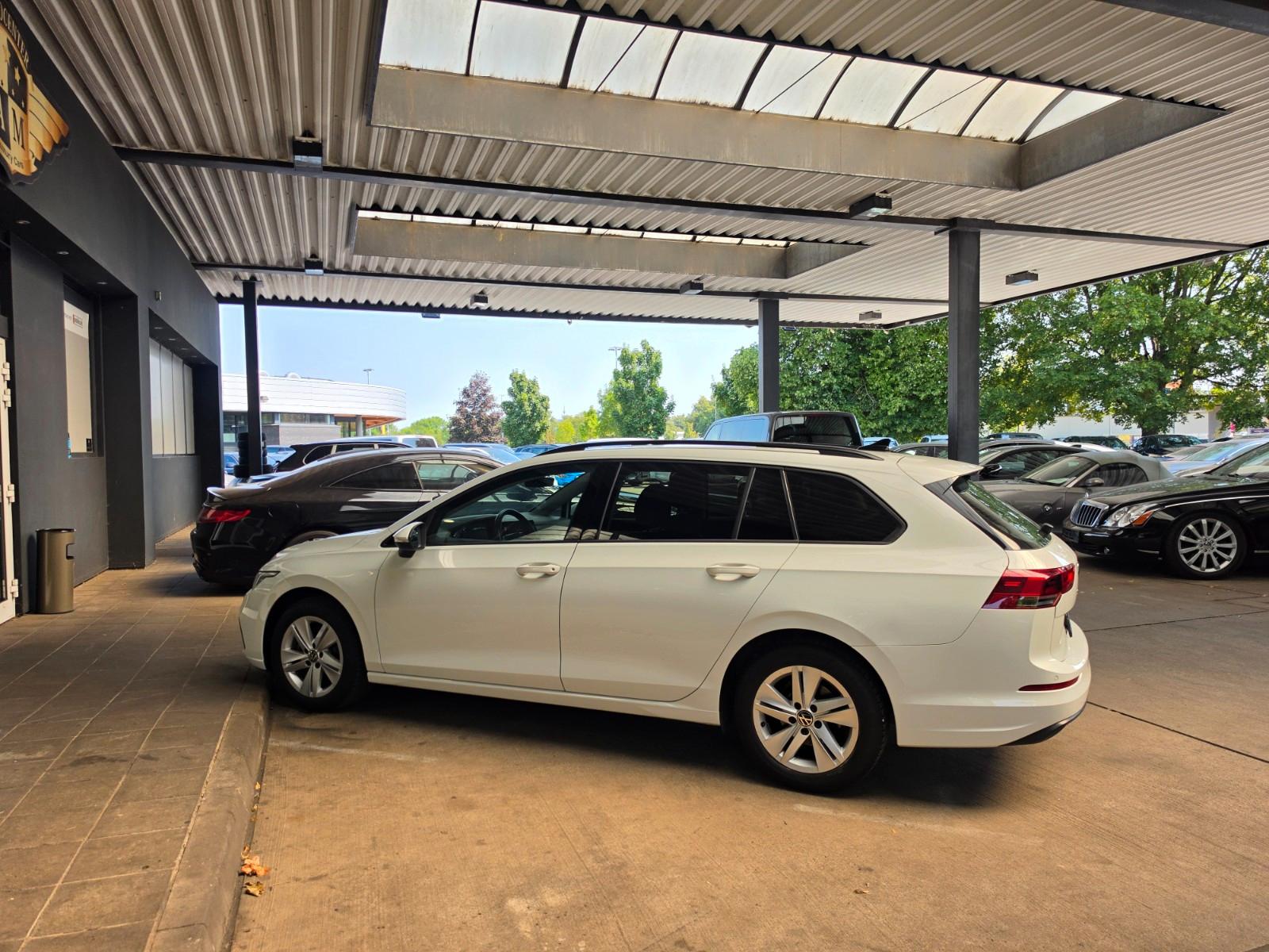 Volkswagen Golf VIII 1.5 TSI Variant Life Kamera/SZH/NAVI, миниатюра 19