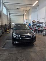 Subaru Forester 2.0D Exclusive  - schwarze Subaru Forester