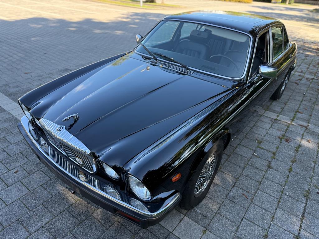 Jaguar XJ12