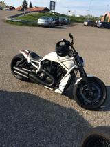 Harley-Davidson V-Rod Muscle Rick´s Custombike Jekill Dr. Hyde - Angebote