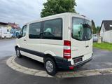 Mercedes-Benz Sprinter II Kasten 210 CDI TÜV NEU - Mercedes-Benz Sprinter: 210 Cdi